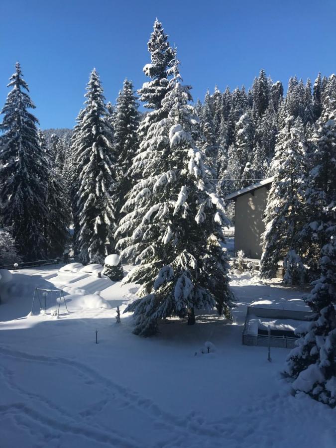 Laax Rancho Studio Apartment Exterior foto