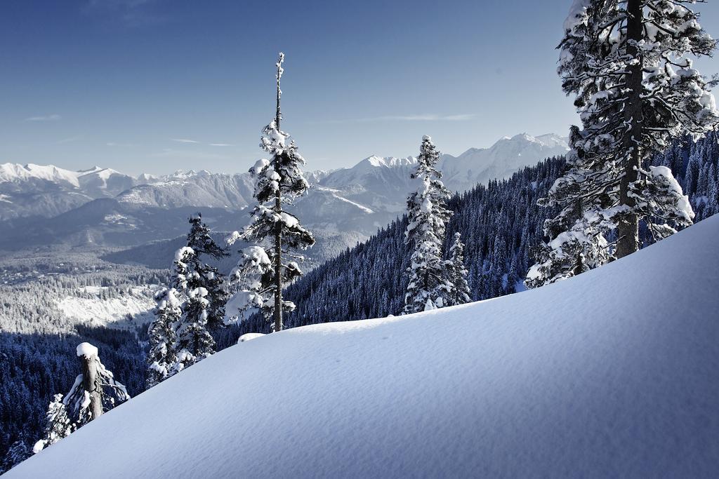 Laax Rancho Studio Apartment Quarto foto